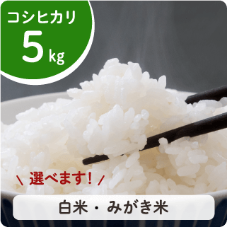 鮮度抜群！【新潟産コシヒカリ】5㎏ - 金助農業株式会社のオンライン米