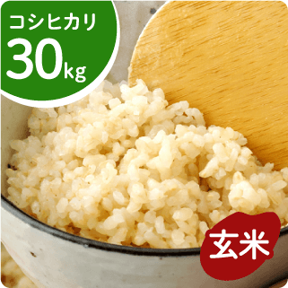 新米新米 コシヒカリ玄米 中米30㎏ - 米