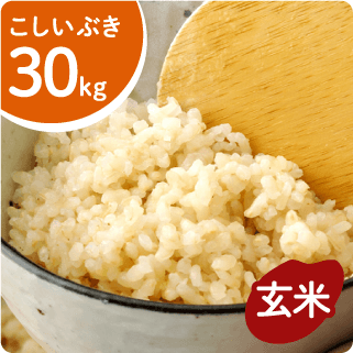 令和5年産新米販売中】こしいぶき せいろうこそだて米 玄米30㎏ - 新潟